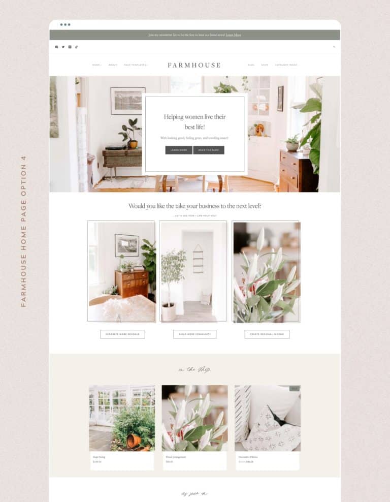 Affordable & Customizable Feminine WordPress Themes - Restored 316