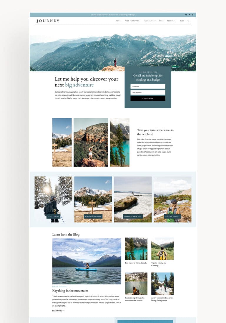 Affordable & Customizable Feminine WordPress Themes - Restored 316